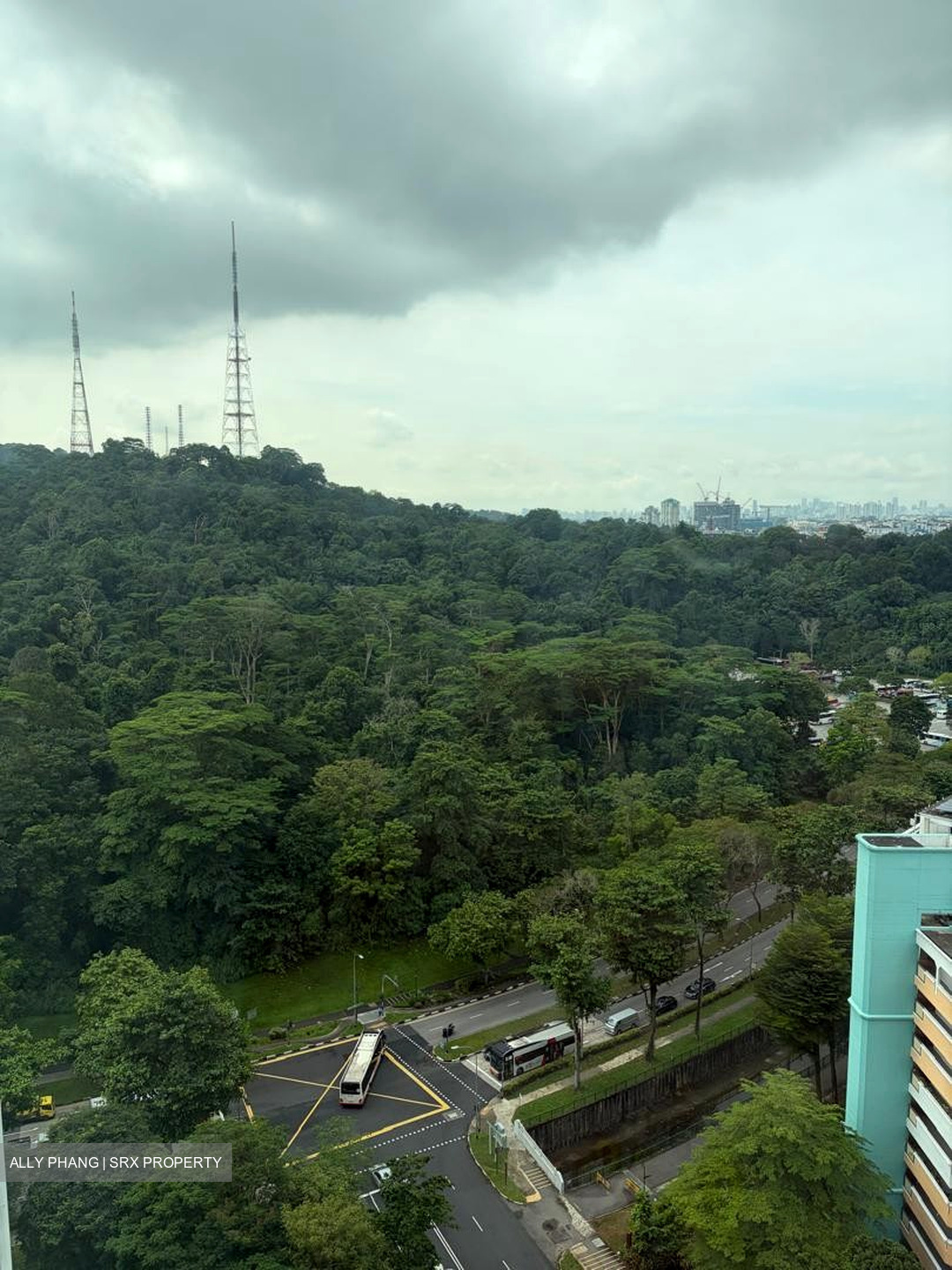 Hillview Regency (D23), Condominium #571120791